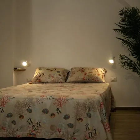 Domusa Homestay *